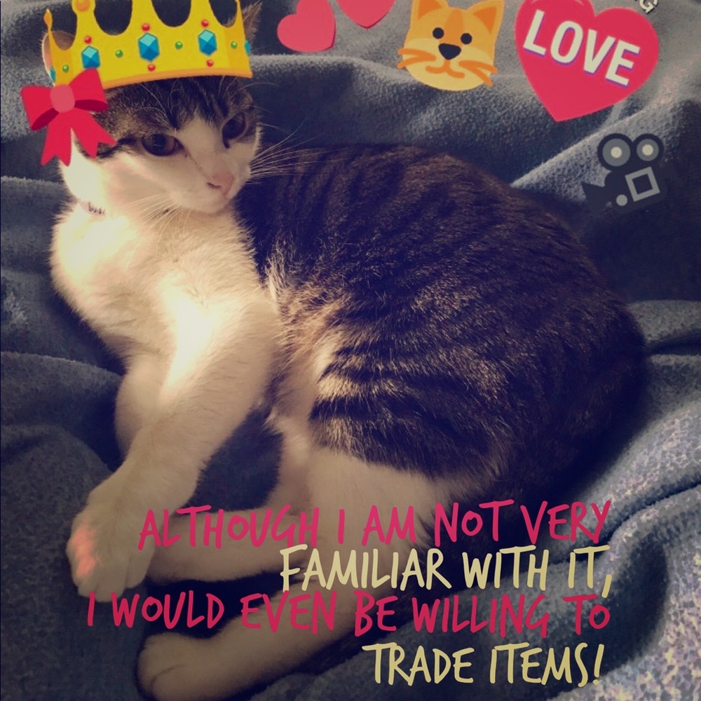 Isabella is priceless